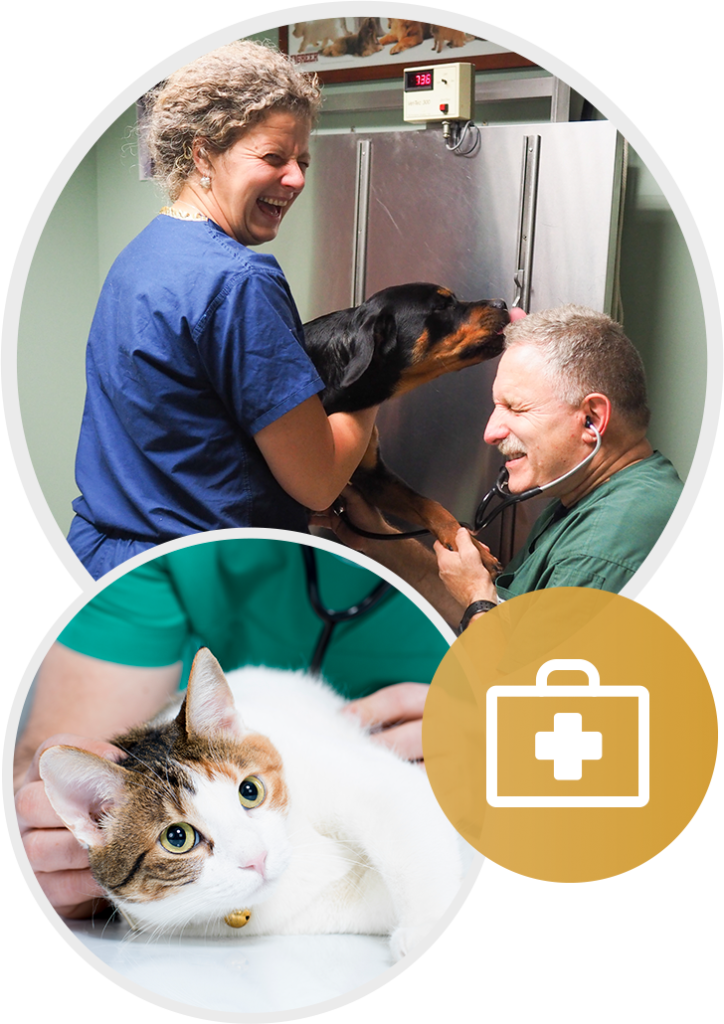 About Us Canton Animal Hospital