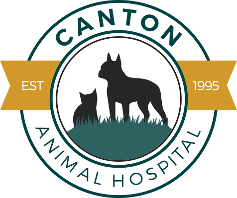 Canton Animal Hospital in CT logo